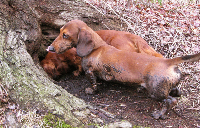  :        .   ,      .            .