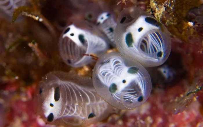 Когда дети в 5 утра выспались и пришли будить тебя.