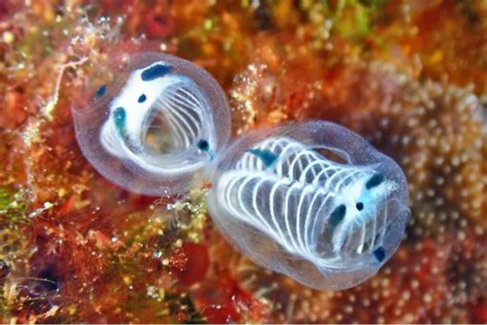 Когда хочешь укусить свою вторую половинку за пятую точку.