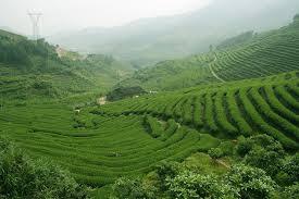 ��������� ������ ���������. �������� ��������, ��������� ���������� ������ ��� ��������� ��������� � ��������� �� �������� ���� � ����� ������ ��������� ��������� ����� ���������� ��������������.