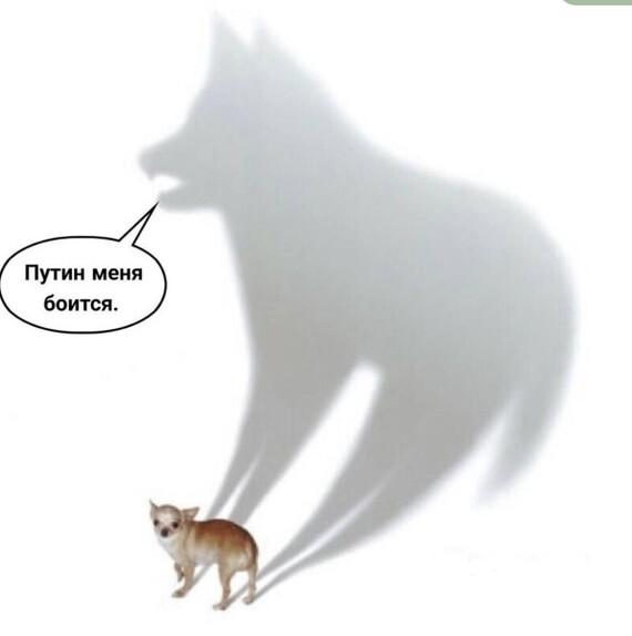 В Киеве объяснили причины отсутствия переговоров