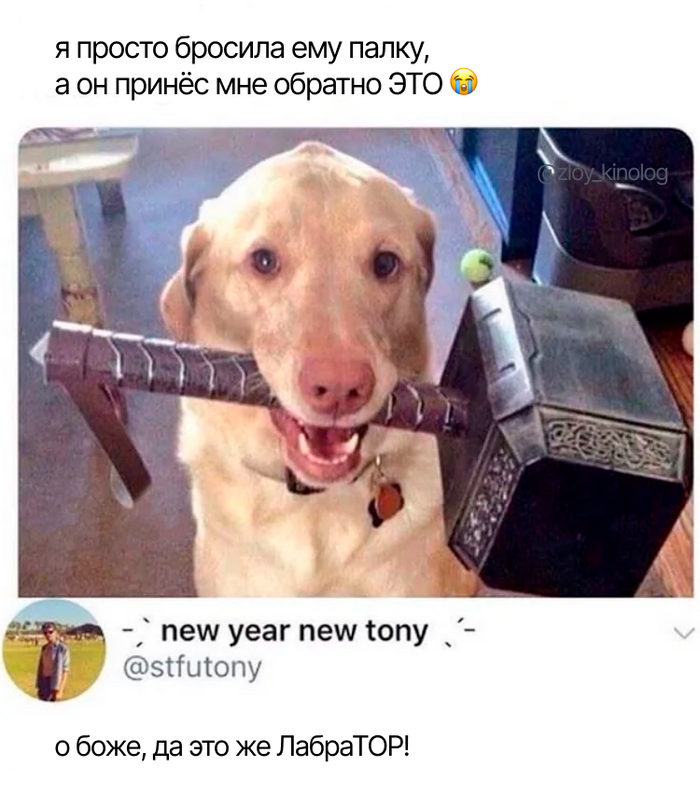   ? , ,   , , , , , Telegram (),  