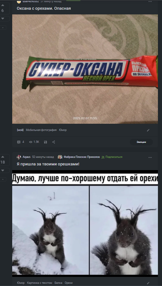  -  ,     ,  , , , ,   
