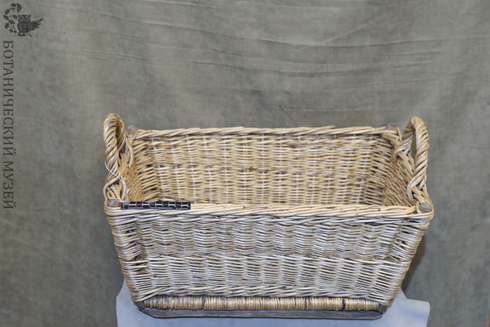 Корзина из ивы с двумя ручками. Из фондов Ботанического музея БИН РАН.