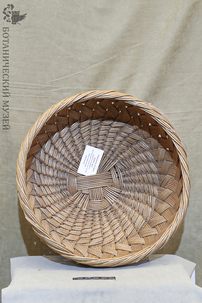 Корзина для овощей и фруктов. Из фондов Ботанического музея БИН РАН.