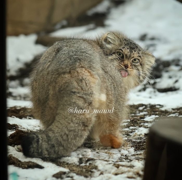 ����� �� ���� �Ml�m 2 ����