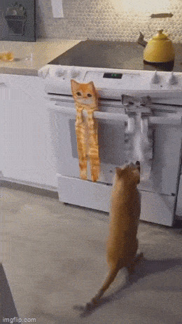   , , , 