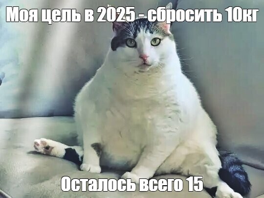 ����������������