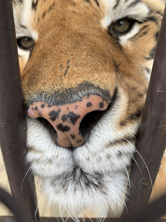 ! ,  ,  ,  ,  , , Boop, , , 