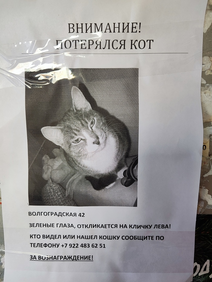 Омск, левый берег