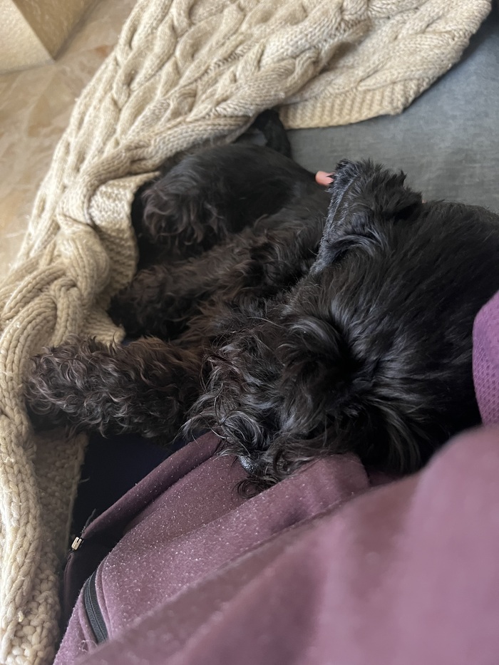 Прикорнул на минутку после игры.