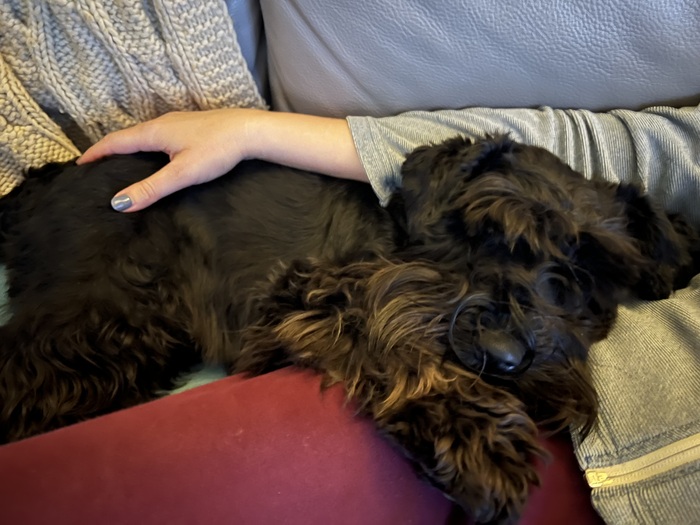 Мирно сопим в свой день рождения.