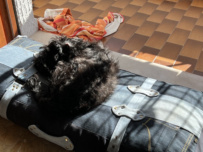 Лето, на солнышке приятнее.