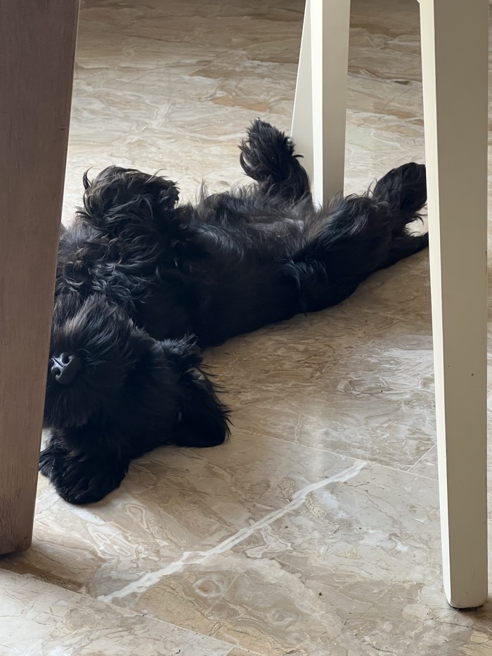 Лето, жарко.