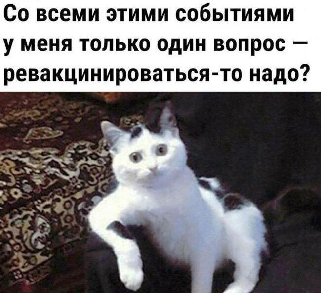 ����� �� ���� ���������