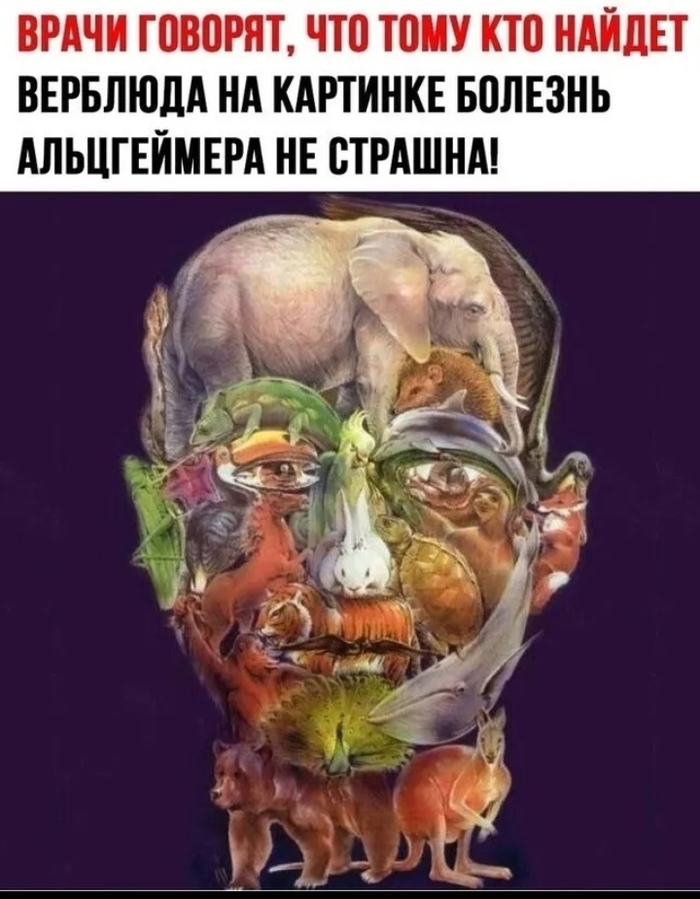 Кто сможет найти его?