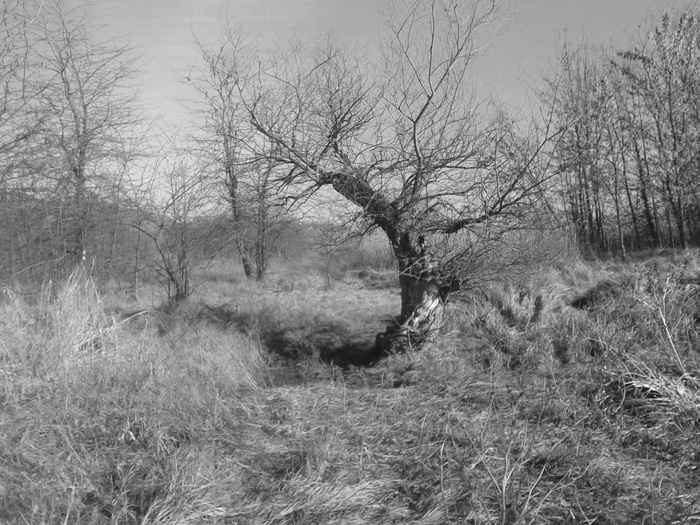 Набережная реки Кубань