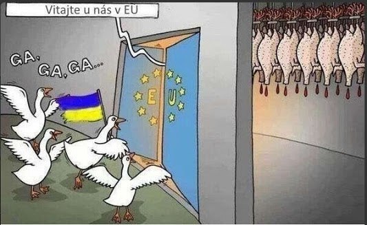 ���� �����, ����� ... ����������