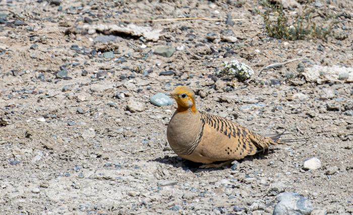 ����� ��� ������� �������, ��� �� �������