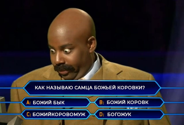  ,       ,     (), , ,  