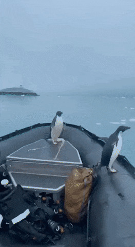    , , , 