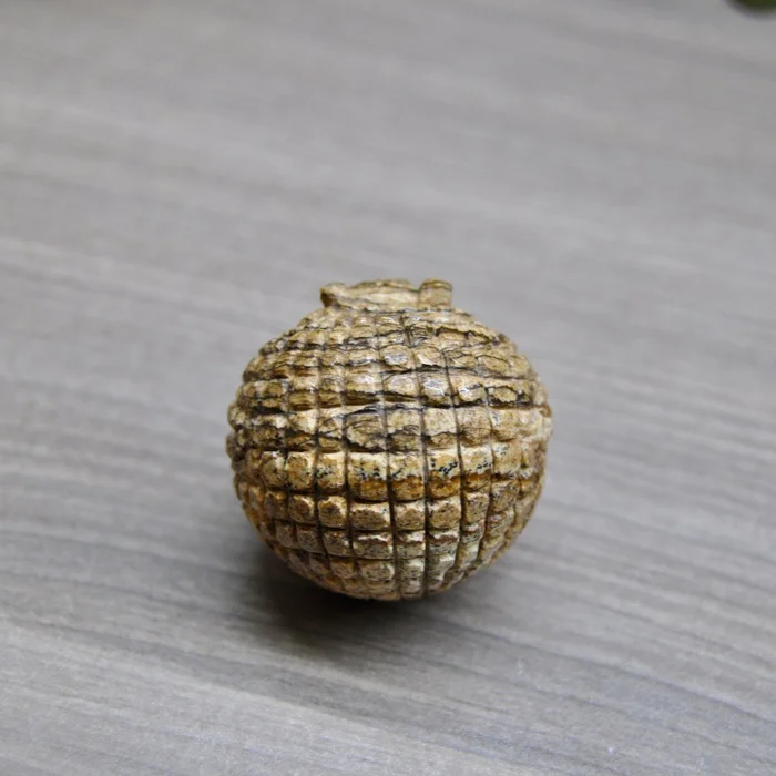Baby Jasper Armadillo - My, Needlework with process, Needlework, With your own hands, Friday tag is mine, Stone carving, Jasper, Battleship, Figurines, Longpost