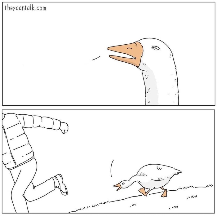  Fiona.fiona        , , , ,  , , ,     , ,  ,   