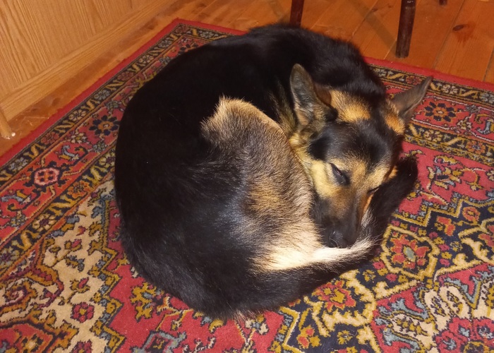 Я тебя никогда не забуду