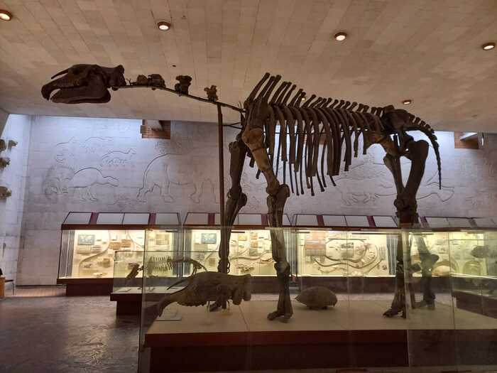        ,     ,        -  )))