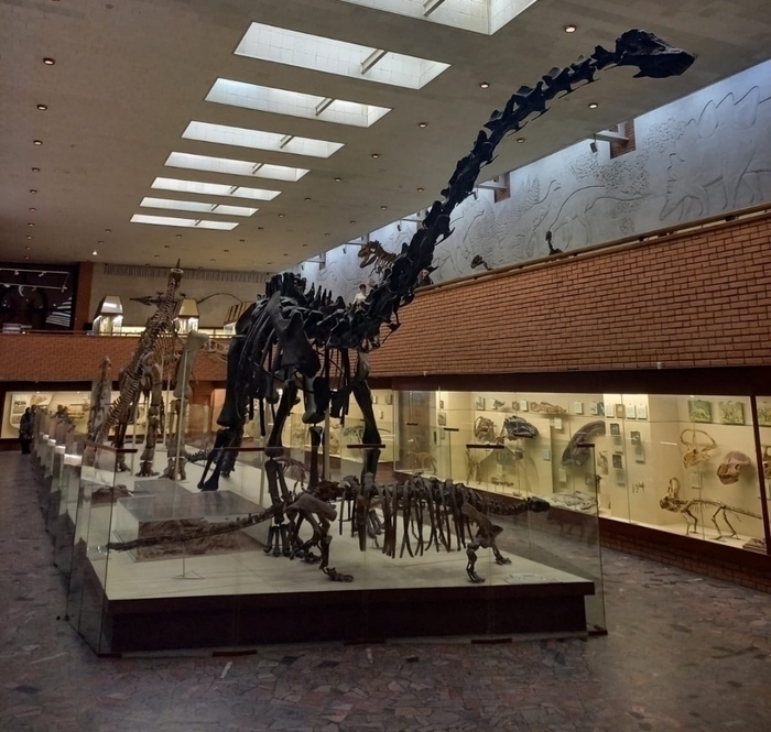    ,          ,        (!) . ))