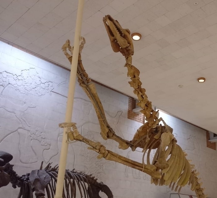 , pole-dance -   ,    ,         ))