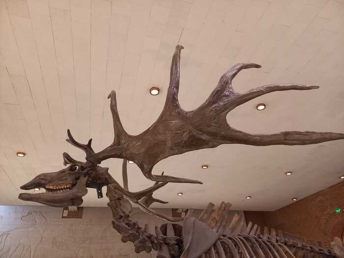  89 .      ,    ,    )),    - ))