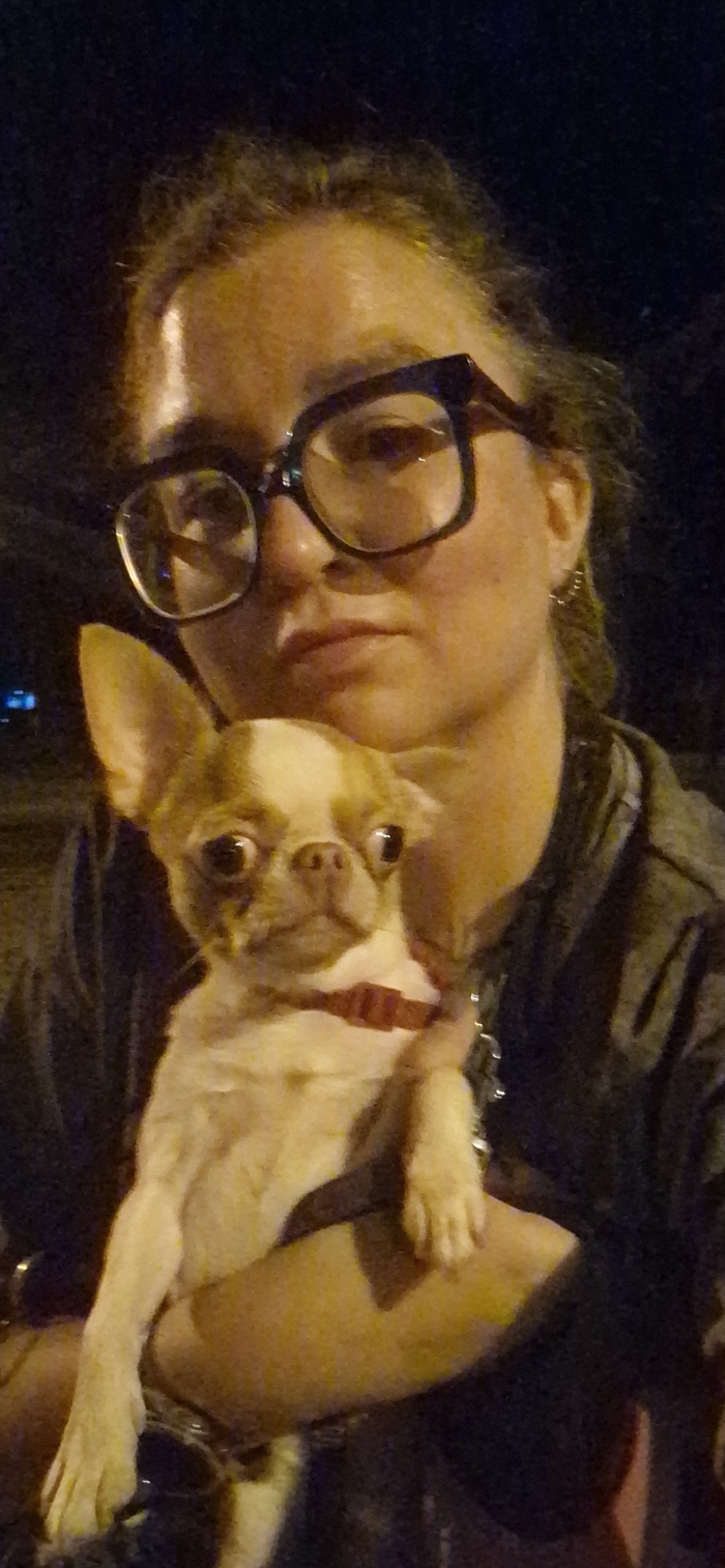 Чихуахуа ищет дом. Минск