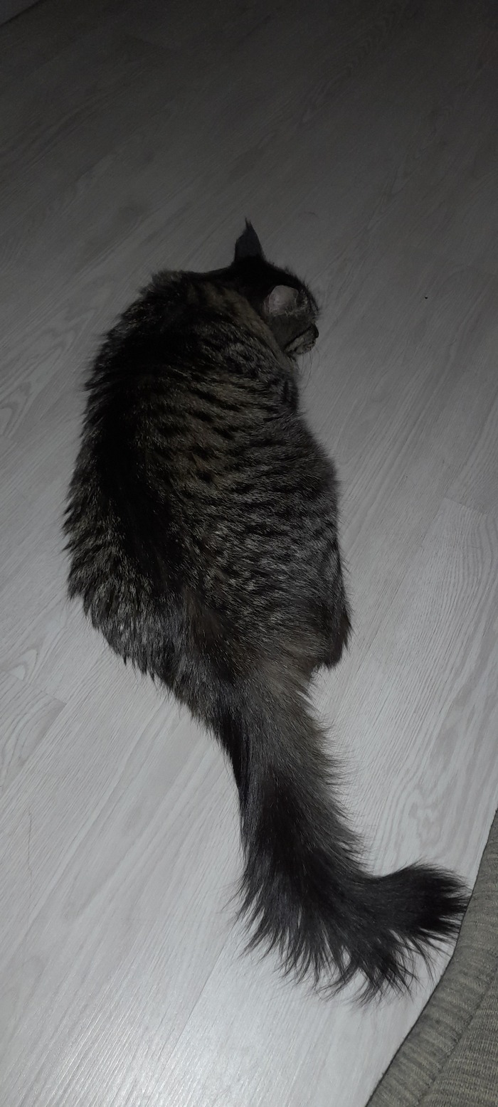     ,  ,  ,  , ,  , 