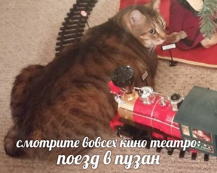      , , , , , 