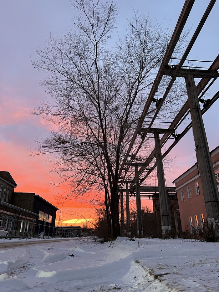 ����������, ������ 2024