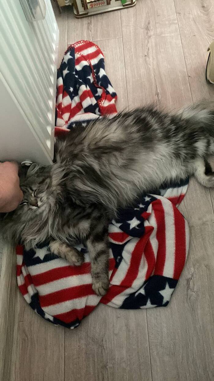 <a href="https://pikabu.ru/story/koshka_12352793?u=https%3A%2F%2Fpikabu.ru%2Fstory%2Fprivet_iz_doma_ot_omuta_ya_nashla_ego_v_korobke_v_pole_letom_ogromnoe_spasibo_pikabushnitse_za_to_chto_podarila_emu_dom_12279434%23comments&t=https%3A%2F%2Fpikabu.ru%2Fstory%2Fprivet_iz_doma_ot_omuta_ya_nashla_eg...&h=7d207dd7f8ea9c8faf5aba43f8acabd4e8bc86e8" title="https://pikabu.ru/story/privet_iz_doma_ot_omuta_ya_nashla_ego_v_korobke_v_pole_letom_ogromnoe_spasib..." target="_blank">https://pikabu.ru/story/privet_iz_doma_ot_omuta_ya_nashla_eg...</a>