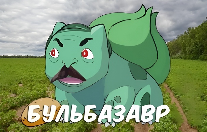 - ,  , , ,   , , 