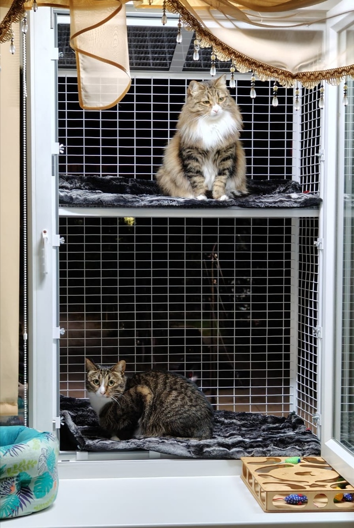 ����� ����� ����� ����