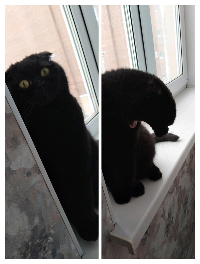 Когда делаешь вид, что не "проспал" объяснение учителя, а внимательно слушаешь