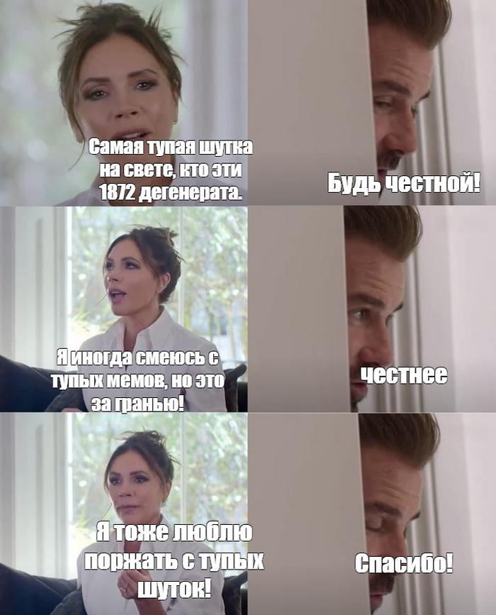  Mozgodon      , ,   , ,   , ,  , 