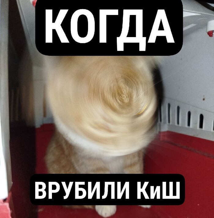 маленькая попка 