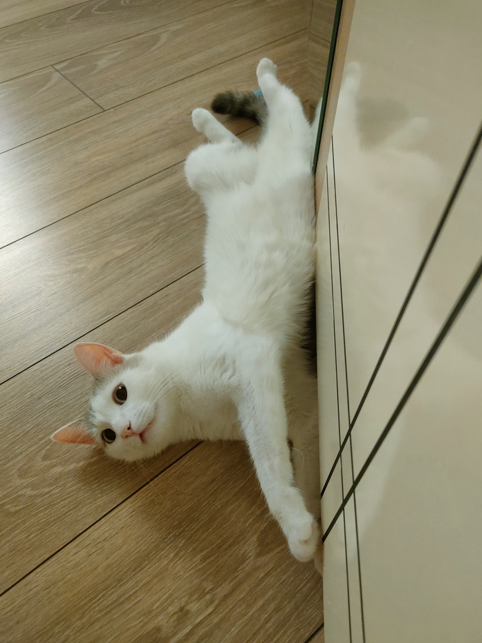   ! , , ,  , 