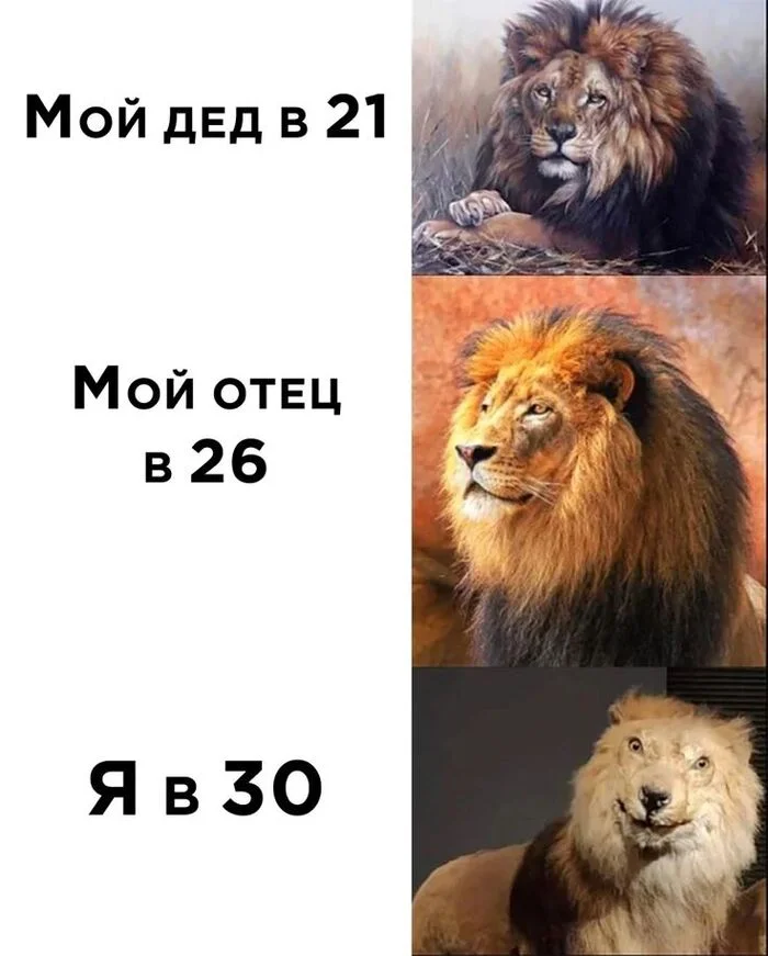 Ответ на пост «Ответ на пост Фотография деда, 1960-е» - СССР, Черно-белое фото, 60-е, Дед, Волна постов, Ответ на пост, Картинка с текстом