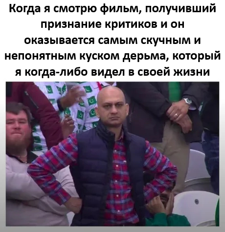      ,   , , ,  , Telegram ()