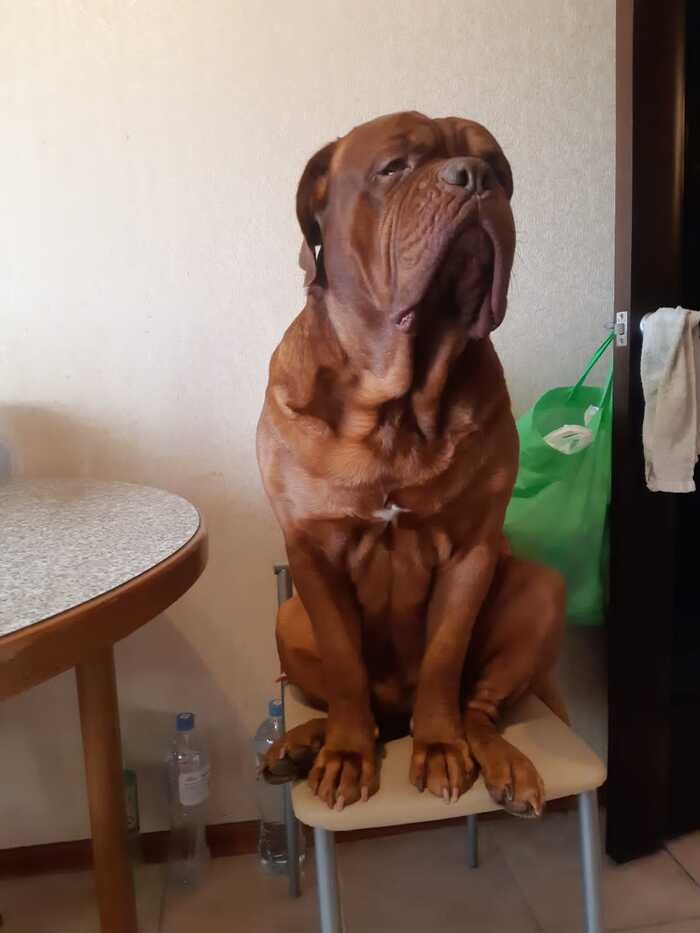  .  ?!  ,   , ,  ,  ,  