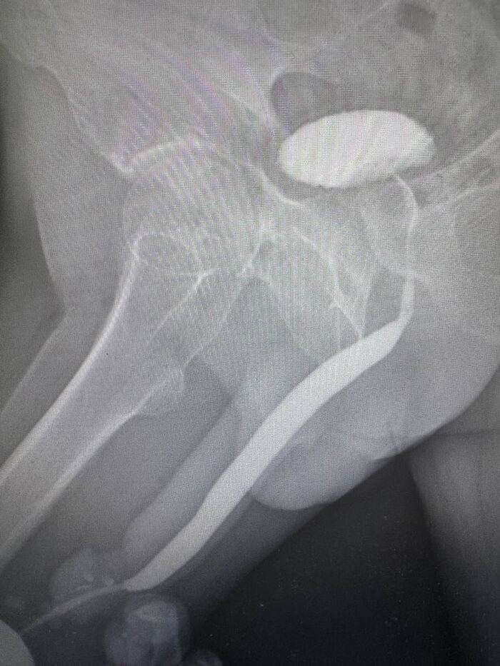 ��������� ����������� ������ ������