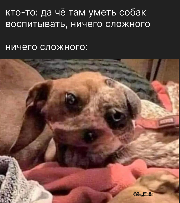-   ... ,   ,  , , , , , , 