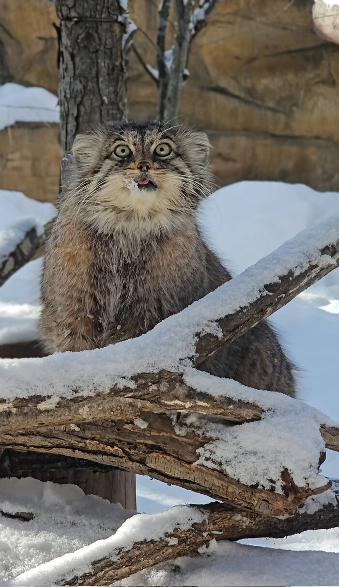 Что-то совершенно невероятное!