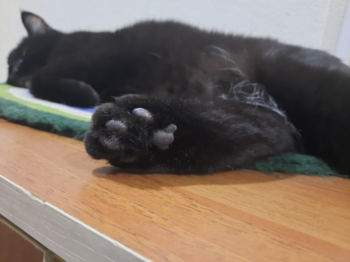 ��������